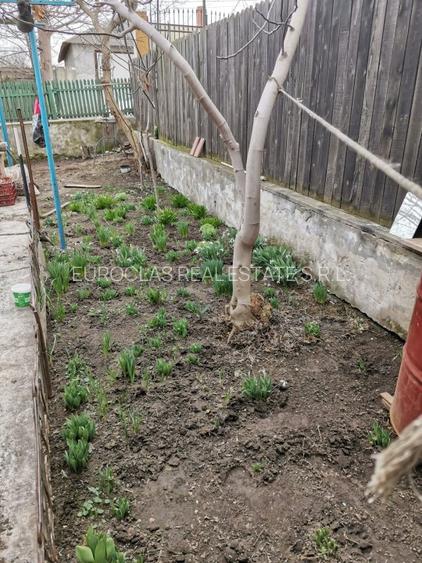 Teren 1.447 mp cu casa 5 camere - Ovidiu - 210.000 euro negociabil (Cod E1) - 10