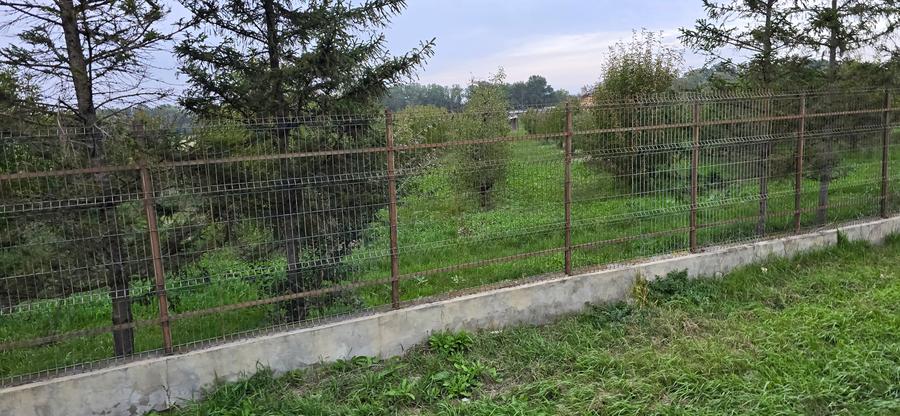 LIVADA DE VANZARE FOCSANI-DUMBRAVITA 1,8 HA