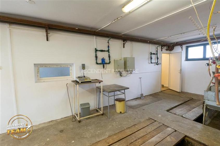 FILM! Ferma de iepuri,Malnas,Covasna: domeniu:industrial/comercial,asset UE - 32