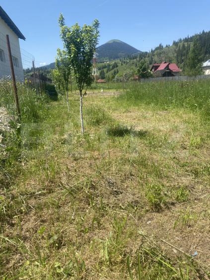 Teren intravilan în Vatra Dornei, str Roșu, 1000 mp