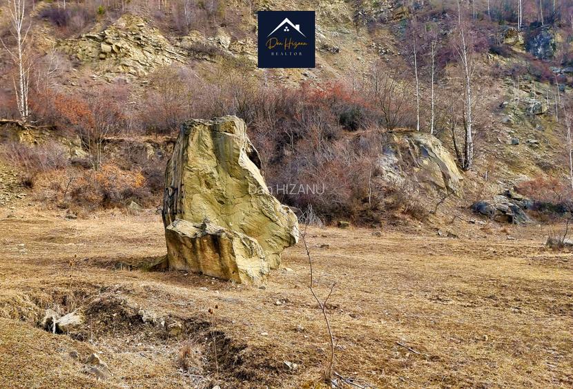 SIRIU - Oportunitate de investitie | Teren cu PUZ | Intre Lac si Padure - 15