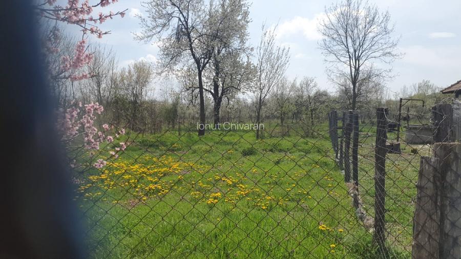 OPORTUNITATE UNICĂ ÎN TOMȘANI (LÂNGĂ HOREZU) – ANSAMBLU TERENURI 9.364 MP - 2