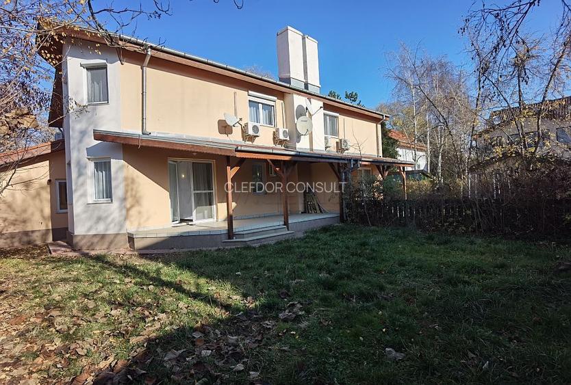 Vilă de lux in zona Iancu Nicolae - 15