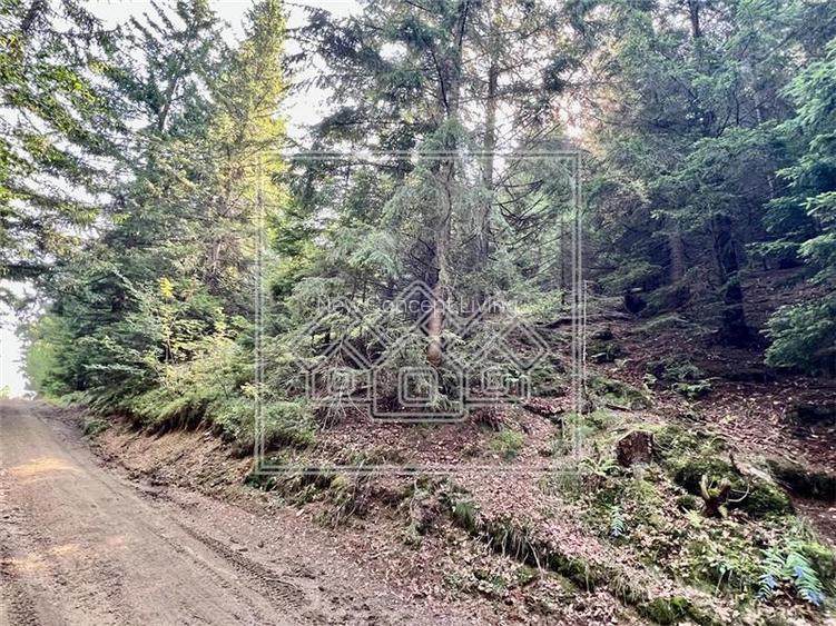 Teren de vanzare - 11200 mp - extravilan - zona turistica - 5