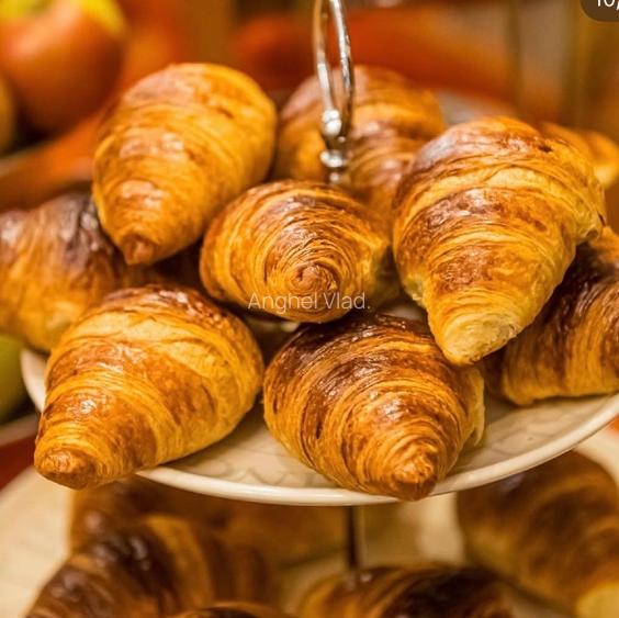 Proprietar vând Hotel Boutique  la Timișoara  - 15