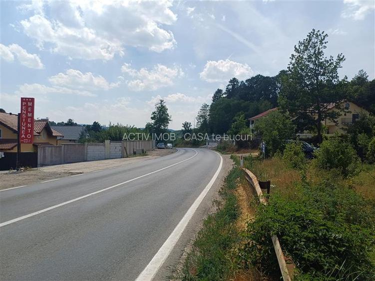 Resita, Terenuri Intravilane 2000 Mp., 28 Euro Mp., Calea Caransebesului, Mement - 11