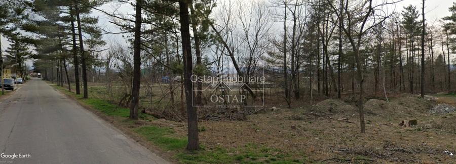 Gheraiesti-str. Lunca Bistritei-la asfalt-1.500 mp-intravilan-curti constructii - 8