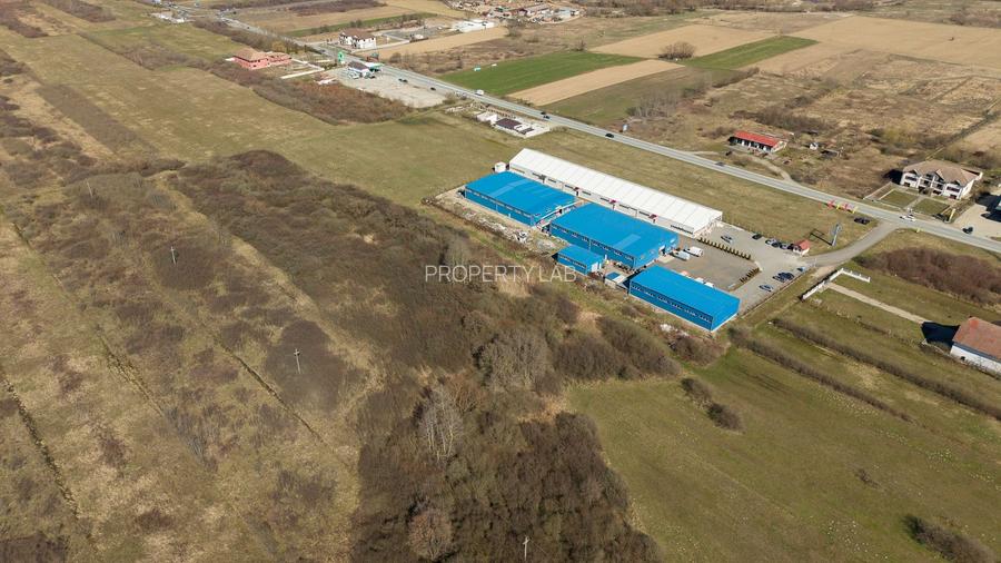 Teren extravilan de 7.000 mp lângă Păltiniș - 15