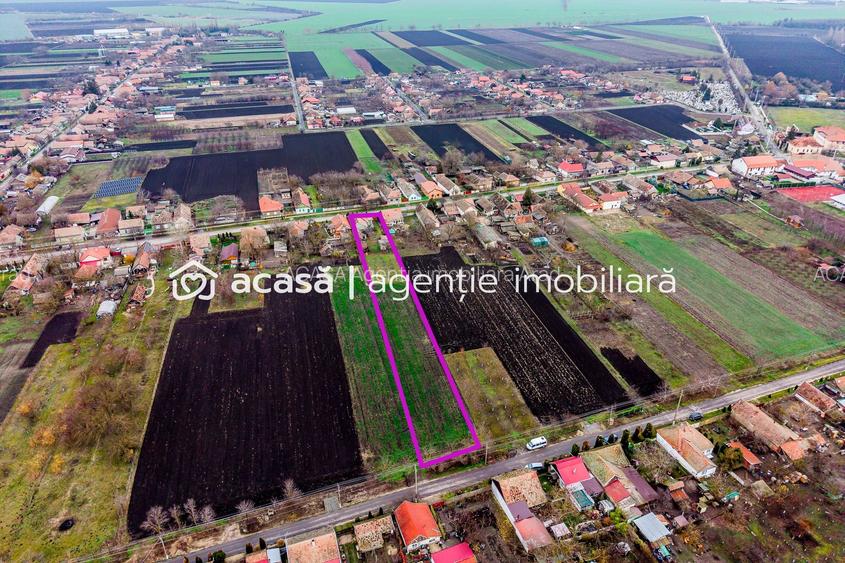 Casă + livadă tânără + curte 2.500 mp în Dorobanți - 10