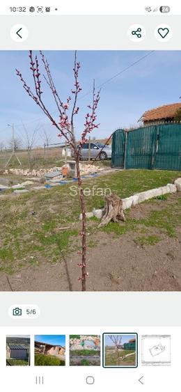 Vând teren intravilan în comuna Peștera, județul Constanța  - 4