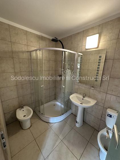 Proprietate cu piscina Dumbravita - 38