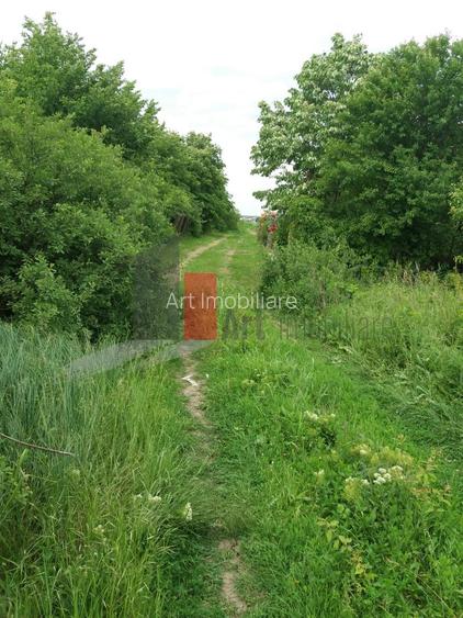 Teren Buftea cu iesire la lac - 30