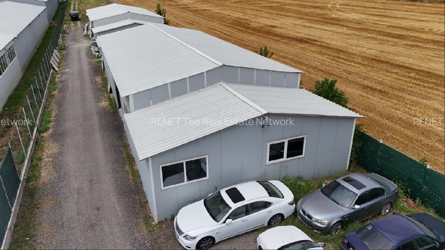 CIOLPANI, LOT 5.000 MP, HALE INDUSTRIALE! - 4