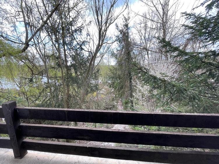 Vila de lux - Snagov, acces la ponton 70 m, deschidere la lac - 14