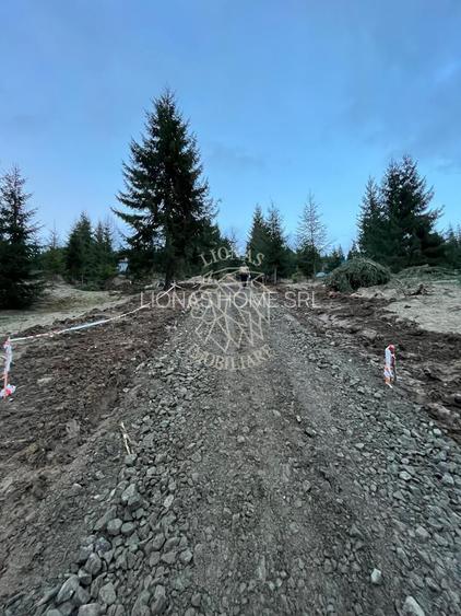Teren intravilan 1074 mp cu utilitati-ideal pensiune, cabane-Colibita - 3