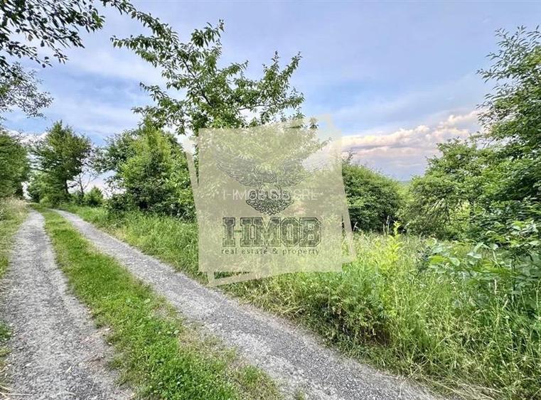 Teren intravilan 1080 mp zona Tropinii Noi - 3