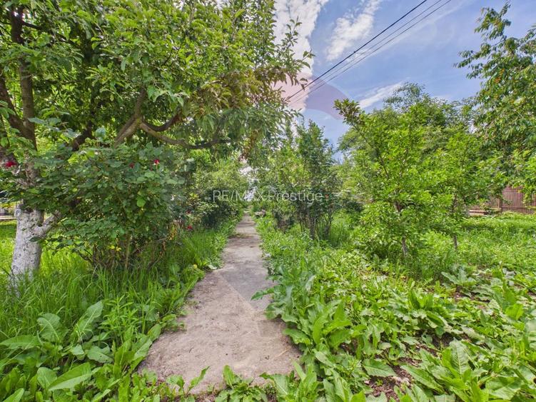 Casă 65 mp + teren 4000 mp, livadă, Butimanu - 26