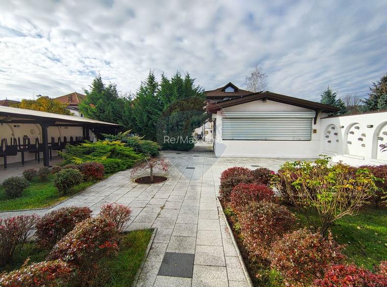 Două vile de patrimoniu, restaurate integral - 26