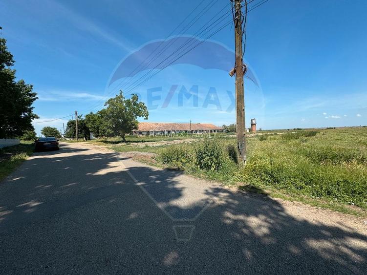 Teren 11404 m2 , Biharia la 1km de autostrada A3 si 300m de centura - 3