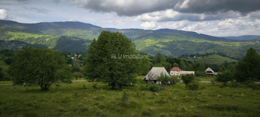 Teren Rogojel 15.000MP 8 EURO/MP - 3