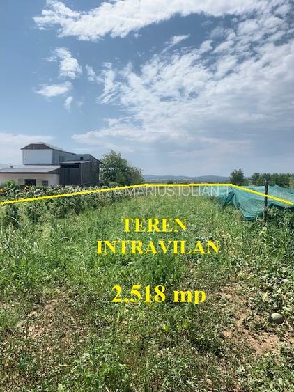 Casa cu 2.518 mp teren intravilan la drumul european, Sascut, jud. Bacau - 4