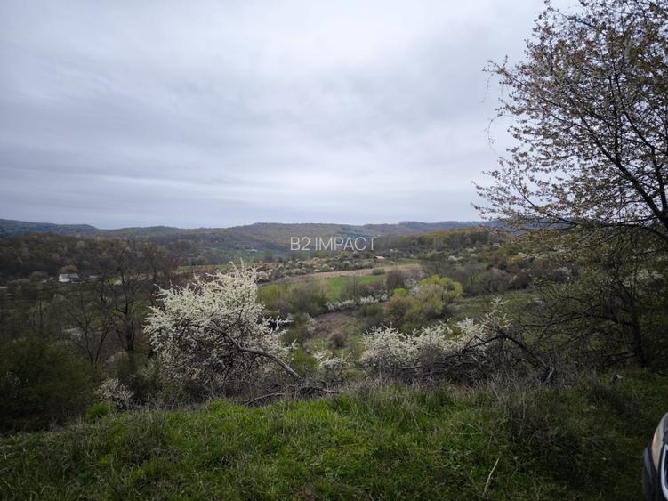 Teren de vanzare situat in Bistrita, zona Drumul Tărpiului - 2