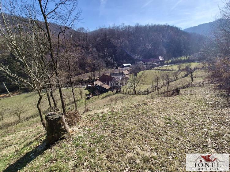 Casa de vanzare/schimb in Metes - Presaca Ampoiului - 8