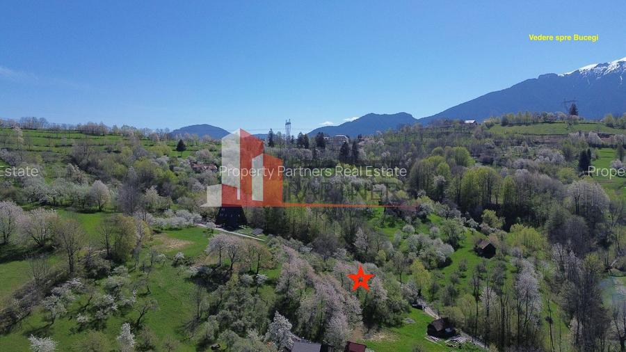 Teren 2500 mp Sohodol - 6