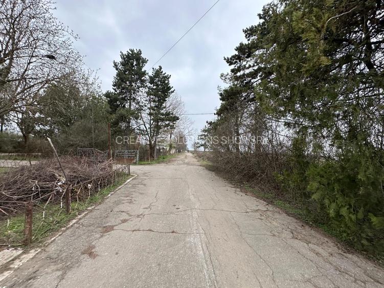 Teren intravilan Mogosesti | Giurgiu | 370.000mp | Adunatii Copaceni - 3