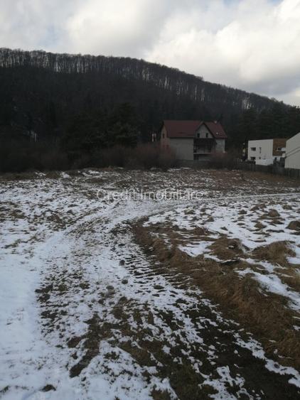 Teren de vanzare - 3