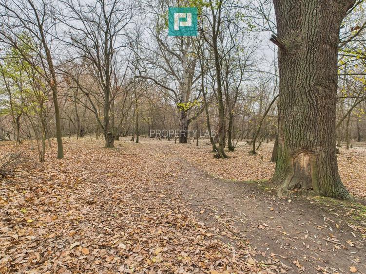 Teren spectaculos la  Periam Port - 8