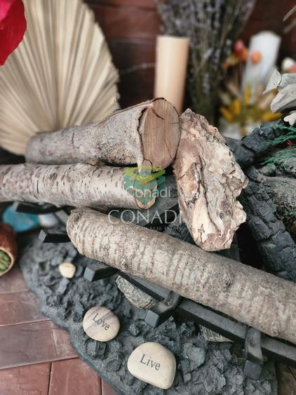 Casa fermecatoare cu  4 dormitoare de vânzare Otopeni, Penny Odai - 30