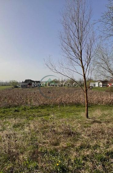 Proprietate de vanzare in judetul Brasov - 8