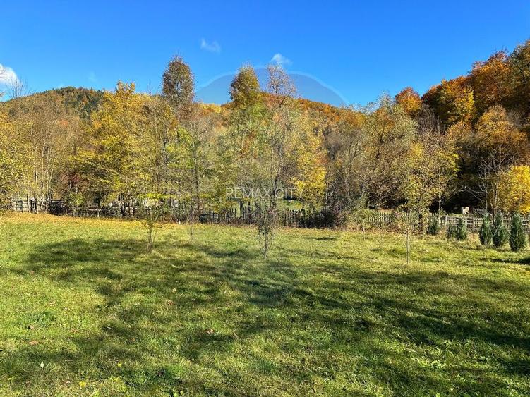 Teren de vanzare Cuiejdel 1350 mp - 5