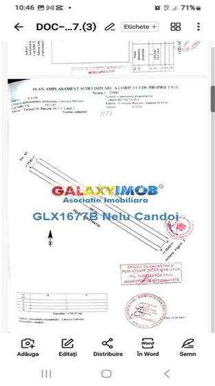 VANZARE TEREN INTRAVILAN 10000 MP  COMUNA BERCENI - 11