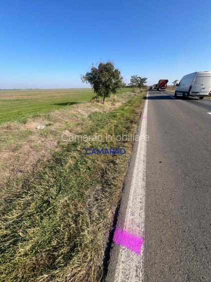 Teren de vanzare- deschidere DN4 138 m  -  Budesti, sat Gruiu - Calarasi - 3