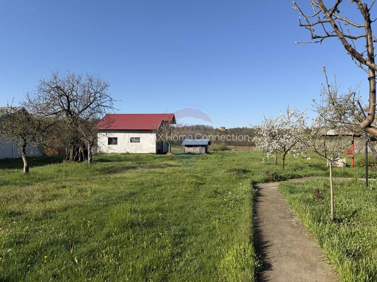 Casă / Vilă cu 3 camere de vânzare - 36