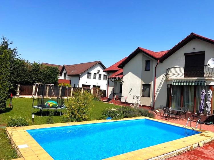 Vila cu piscina Iancu Nicolae - 7
