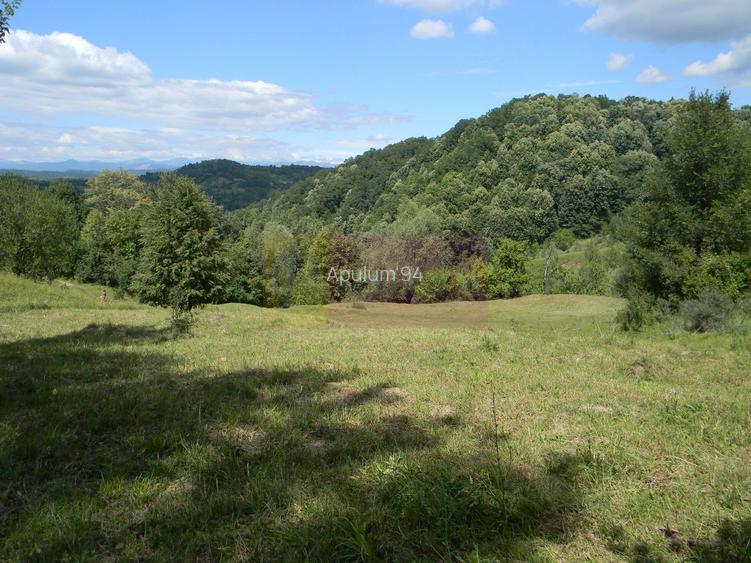 Teren intravilan de vanzare in Telega - 8