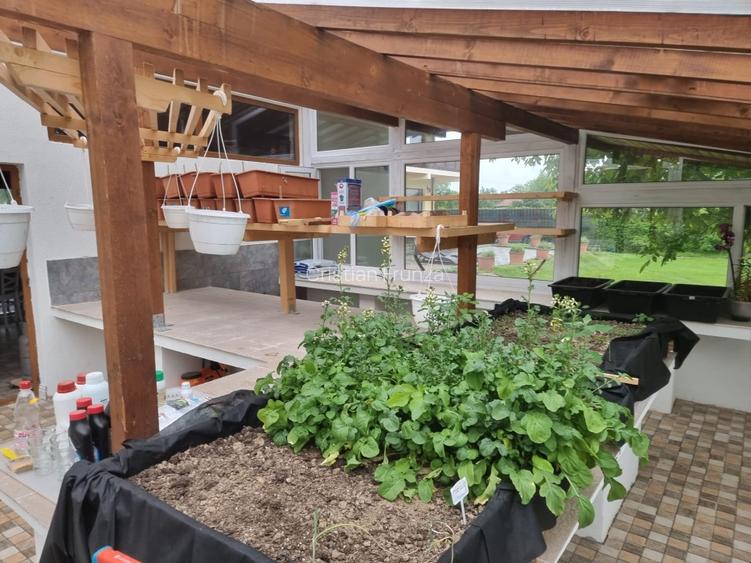 Imobil de vanzare pe Transfagara  - 10