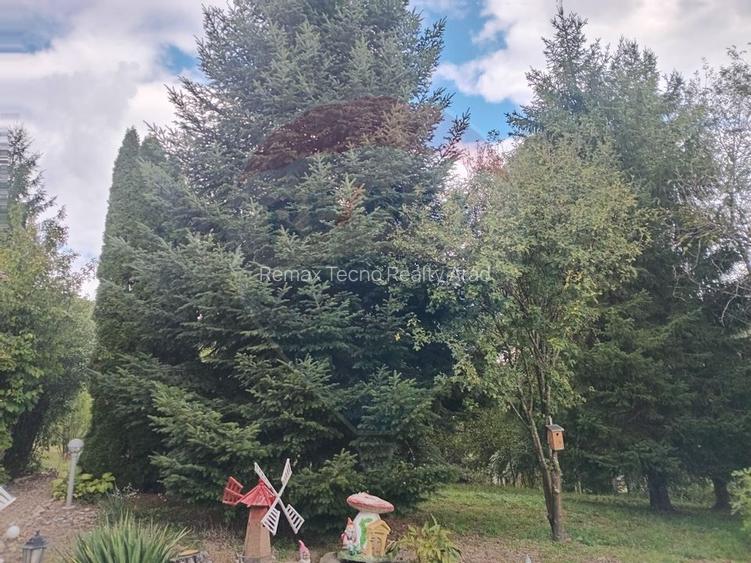 OCAZIE!!! CASA SUPERBA cu teren in JULITA jud Arad in M tii Zarandului - 8