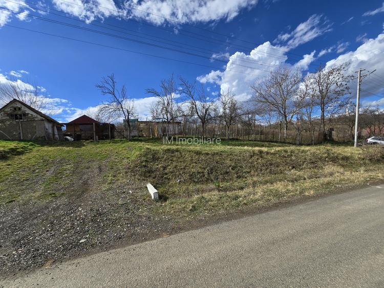 Herneacova-Casa si Teren-Livada- 2876 mp- Front 37m - 5