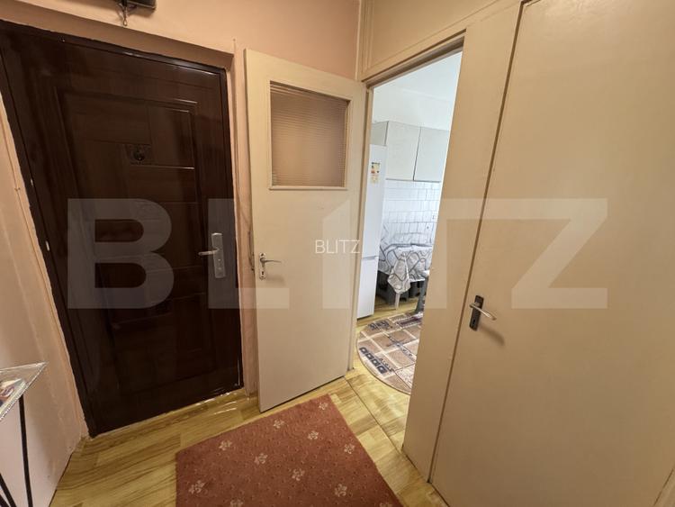 Apartament modest 2 camere, aer conditionat, Brazda lui Novac - 6