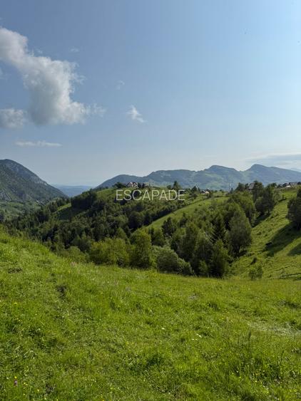 Teren superb intravilan  Pestera- Brasov, 11.908 mp - 9