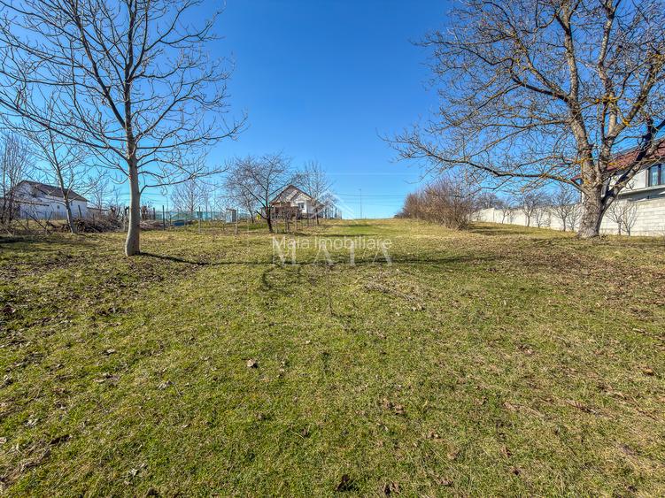 Teren intravilan, la 5 minute de cartierul Valea Aurie, 2388 mp - 4