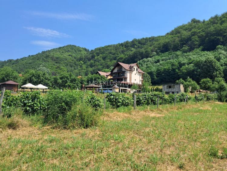 TEREN INTRAVILAN POLOVRAGI - 7