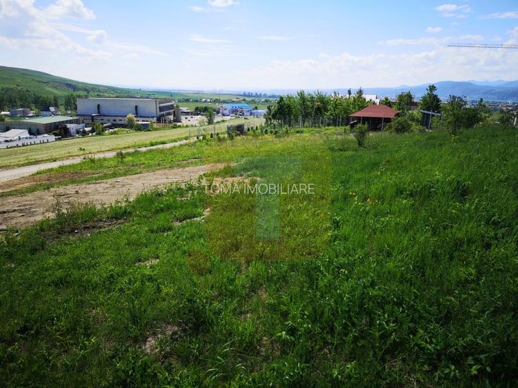 Oportunitate ! Teren intravilan 650 mp, Calea Romanului, Piatra Neamț - 10