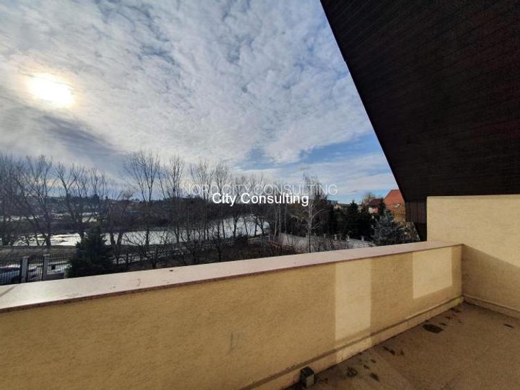 Vanzare vila Mogosoaia - Chitila Lac - 3