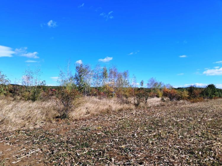 TEREN INTRAVILAN ȘI EXTRAVILAN BAIA DE FIER - 3