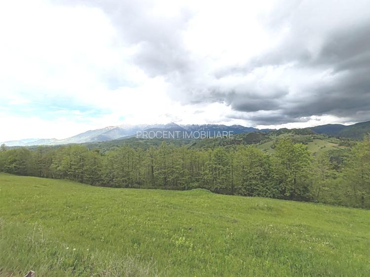 Oportunitate rara! Teren 7.283 mp, investitie garantata - 5